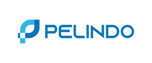 PT Pelabuhan Indonesia
